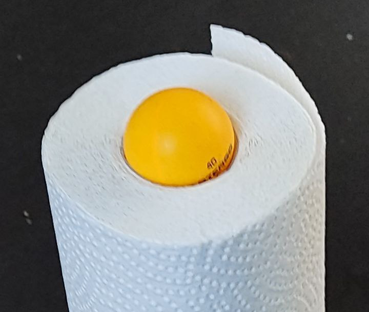 egg but is scottex