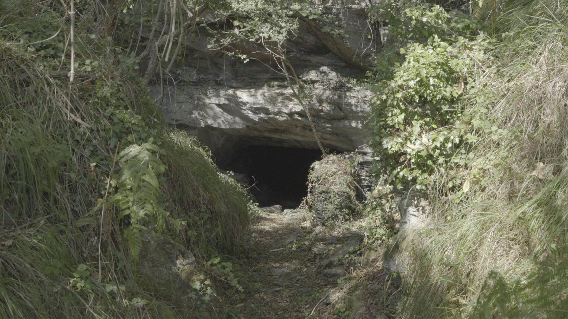 The entrance of an old cave