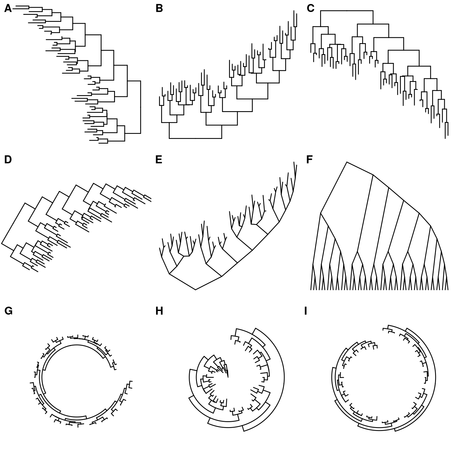 Phylogenetic diagrams